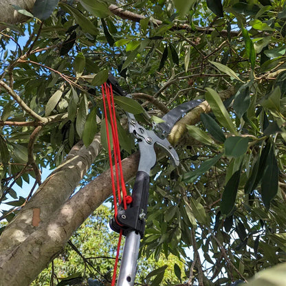 10M Telescopic Pruning Scissors for Garden Tools