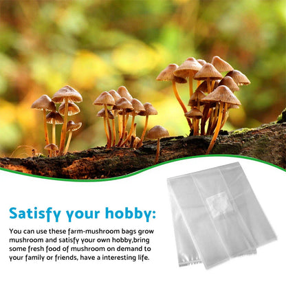 50 x Breathable Mushroom Growing Bags - Autoclavable, Tear Resistant