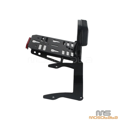 Fixed Sissy Bar for Harley Road Glide Ultra FLTRU CVO/SE FLTRUSE (2015-2019)
