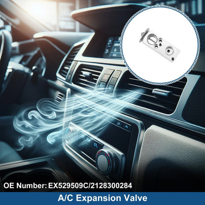 A/C Expansion Valve for Mercedes-Benz C230 2002 (02)
