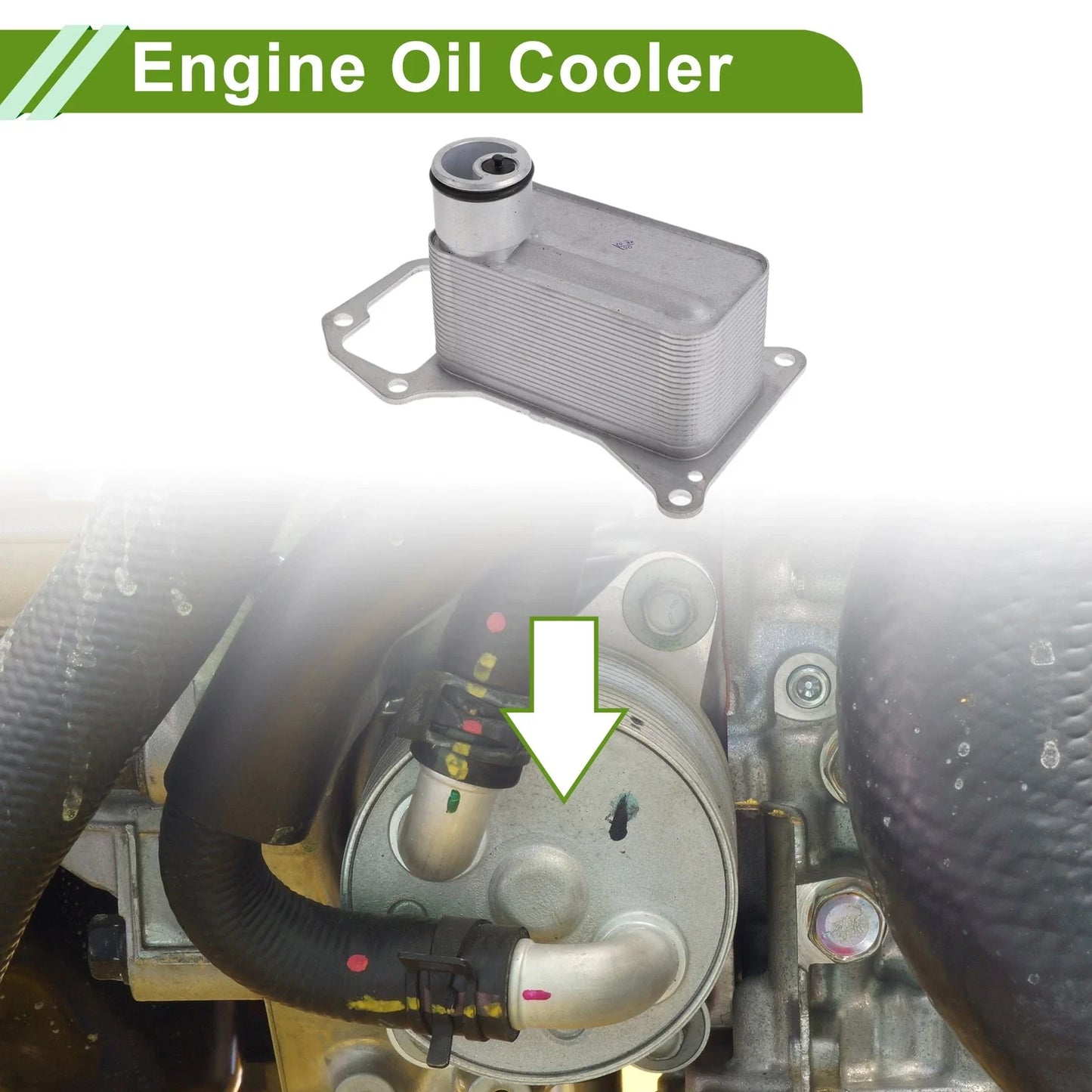 Engine Oil Cooler for BMW X5 (2019-2023)