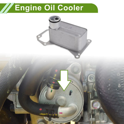 Engine Oil Cooler for BMW X5 (2019-2023)