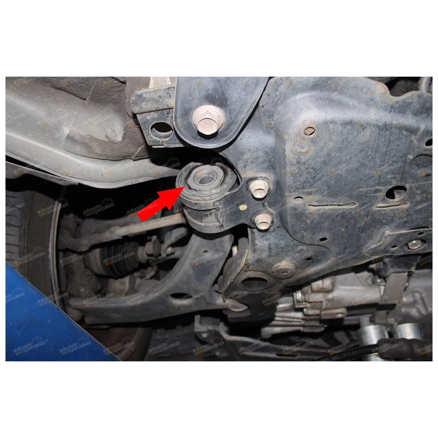 Rear Inner Lower Control Arm Bush for Focus LS LT LV (2005-2011)