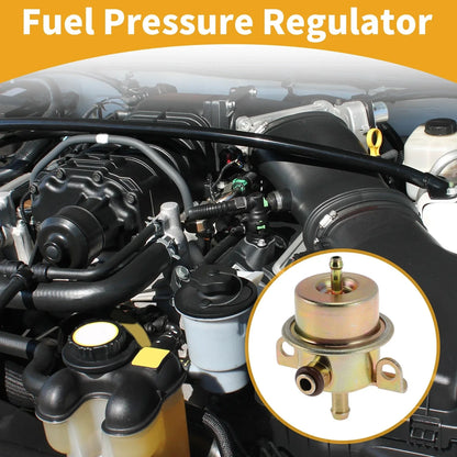Fuel Injection Pressure Regulator for BMW 325 (1986 - 1988)