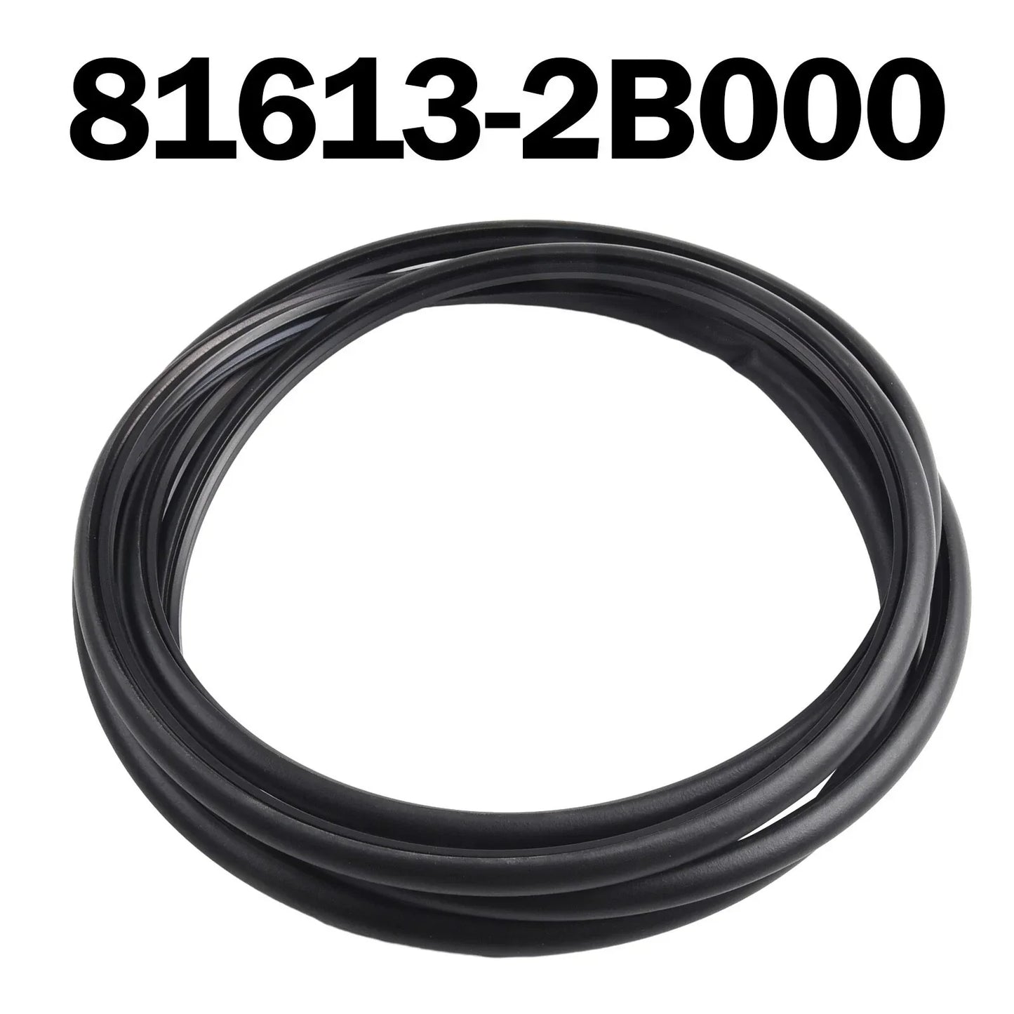Sunroof Glass Strip Seal for Hyundai Santa Fe