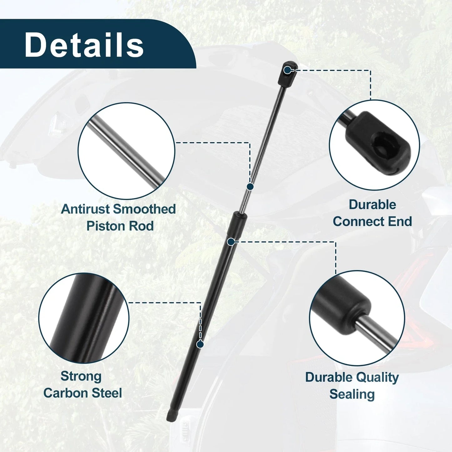 Tailgate Lift Supports Struts for BMW 5 Series E61 (2004-2010)