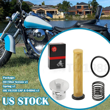 Oil Filter Screen and Cap & Spring for Kawasaki VN700/750/800 (1985–2006)