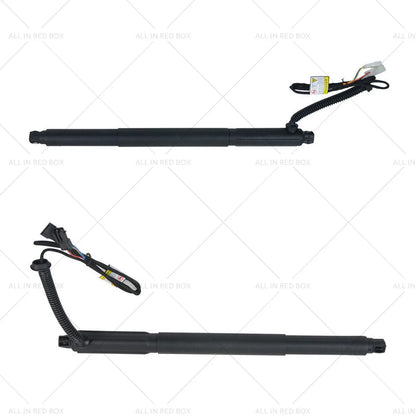 L+R Gas Struts w/ Automatic Opener for BMW X6 (2008-2019)