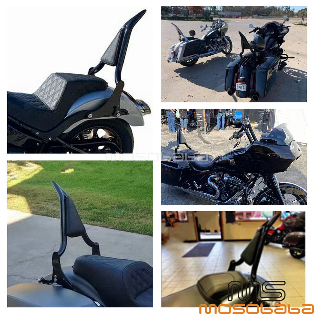 Detachable Sissy Bar Backrest for Harley Davidson Softail Street Bob (2018-2021)