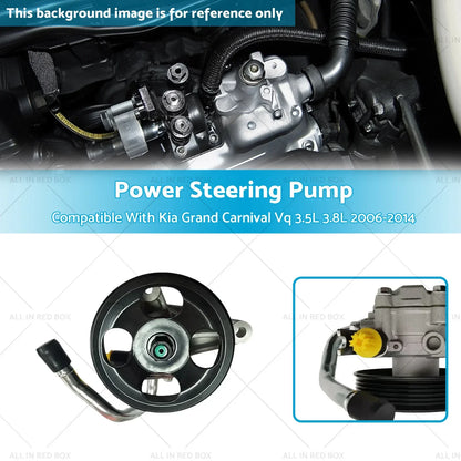 Power Steering Pump for Kia Grand Carnival VQ 3.5L 3.8L (2006-2014)