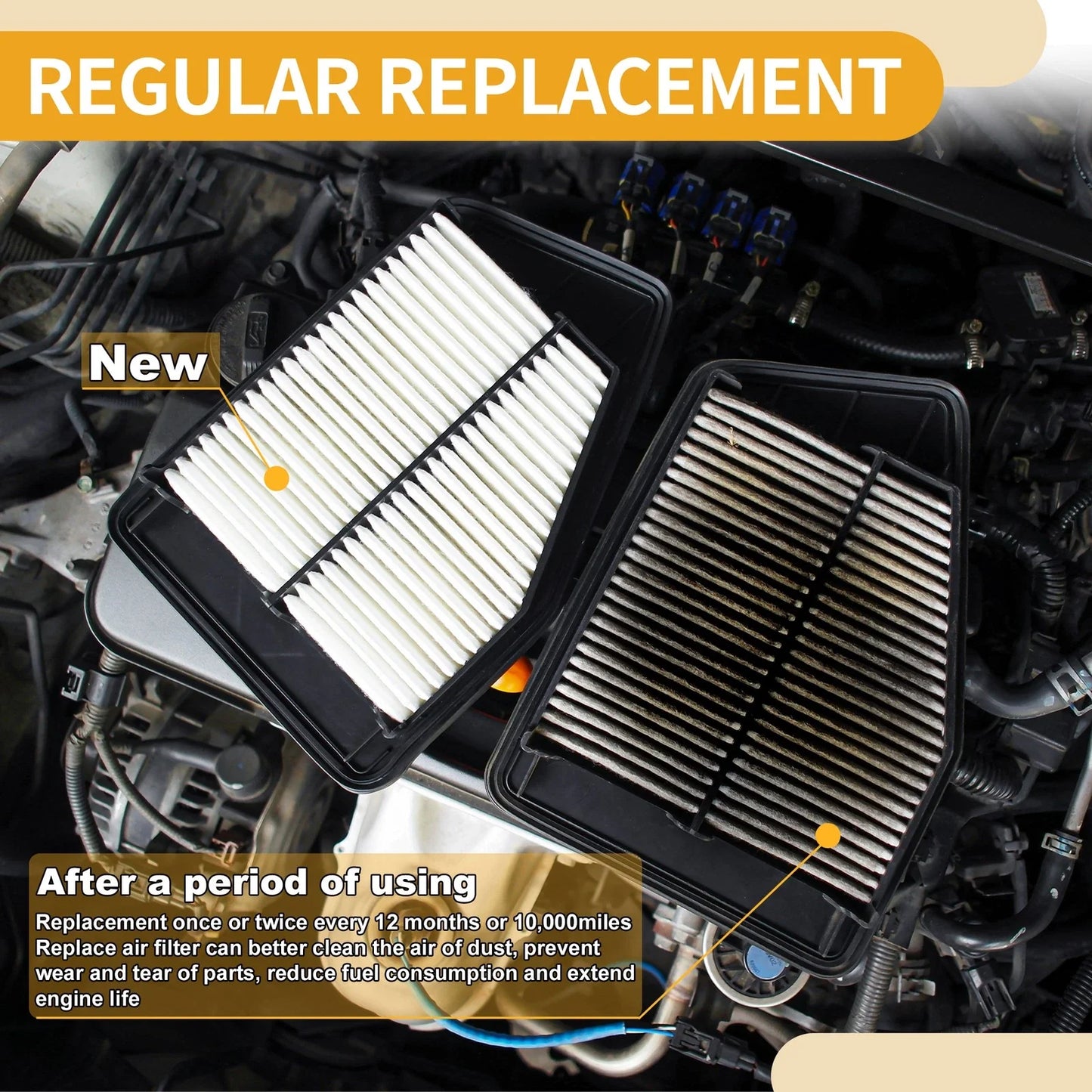 Engine Air Filter for BMW 550i Base 4.8L (2006 - 2010)