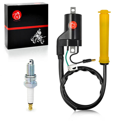 Ignition Coil & Spark Plug for Honda Sportrax 400 TRX400EX XR400R (1999–2004)