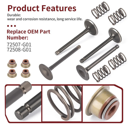 Intake & Exhaust Valve Set with Seals for EZGO Gas 4 Stroke 295cc 350cc (1996–2026)