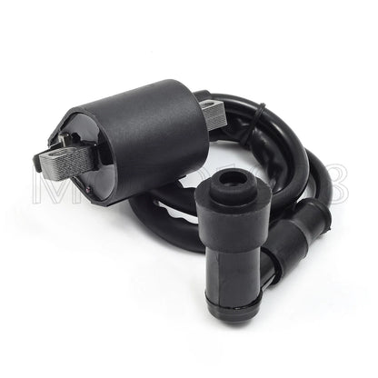 Coil & Spark Plug Kit for Badger 80/Grizzly 80/Raptor 80