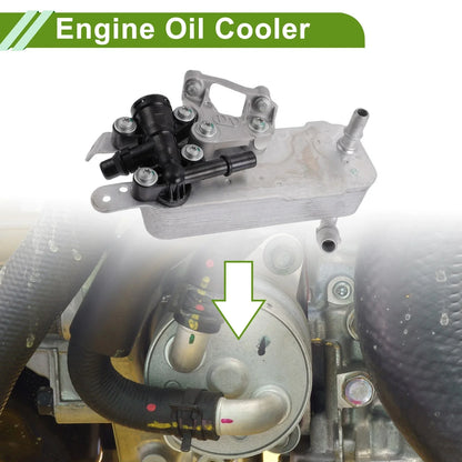 Engine & Transmission Oil Cooler for BMW 230i