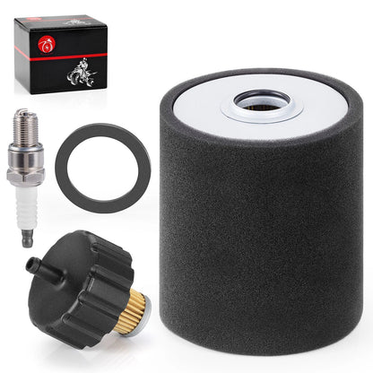 Tune Up Kit Air Fuel Filter Spark Plug Yamaha G2 G8 G9 G11