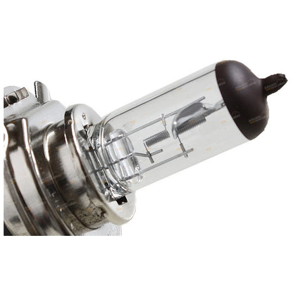 LH/RH Universal Headlight w/Globe for Toyota Hilux Hiace (1983–2005)