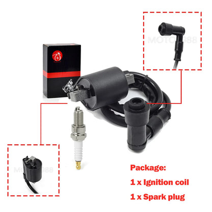 Coil & Spark Plug Kit for Badger 80/Grizzly 80/Raptor 80